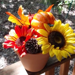 Simply potted flower